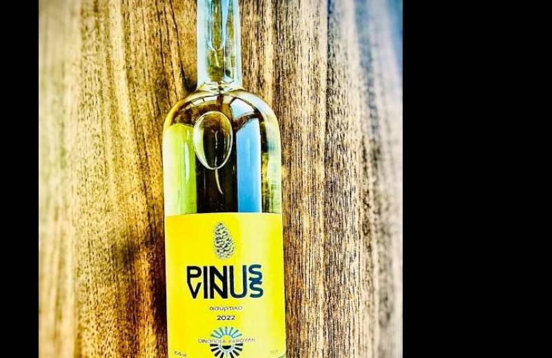 PINUS VINUS: Η πρώτη ρετσίνα από τη Μεσσηνία από την Οινοποιία Ψαρούλη