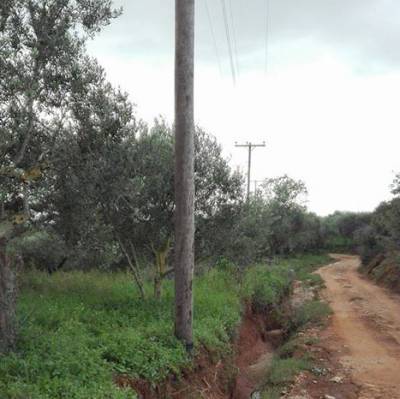 Ζημιά στο Βάλτα - Παλιαβάλτα: Ετοιμη να πέσει η κολόνα της ΔΕΗ