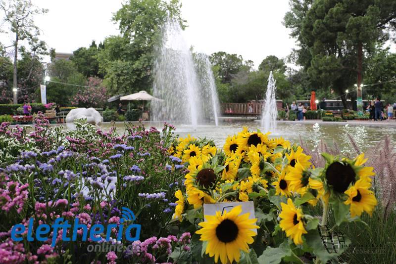 Ανθοκομική Καλαμάτας: Προβληματισμός για τη μειωμένη συμμετοχή – Στόχος η επαναφορά της στα προ πανδημίας επίπεδα