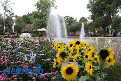 Ανθοκομική Καλαμάτας: Προβληματισμός για τη μειωμένη συμμετοχή – Στόχος η επαναφορά της στα προ πανδημίας επίπεδα