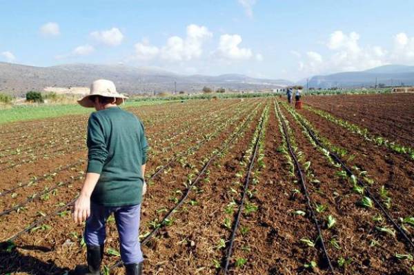 Παράταση μέχρι 15 Ιουνίου σε δηλώσεις για ΟΠΕΚΕΠΕ 