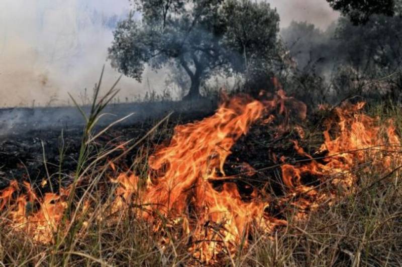 Μεσσηνία: Δύο πυρκαγιές σε απόσταση 1 χλμ. στα Αρφαρά - Εκαψαν 4,5 στρέμματα