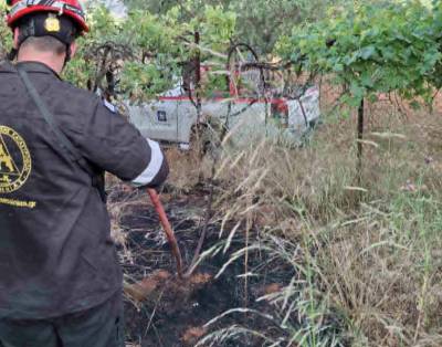 Μεσσηνία: Δύο πυρκαγιές σε απόσταση 1 χλμ. στα Αρφαρά - Εκαψαν 4,5 στρέμματα