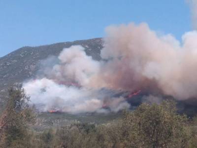 Σε ύφεση η πυρκαγιά στο Κεφαλόβρυσο Χώρας (βίντεο)