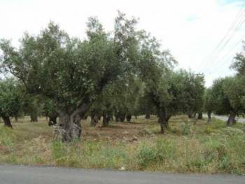 Νεκρός από ανατροπή τρακτέρ