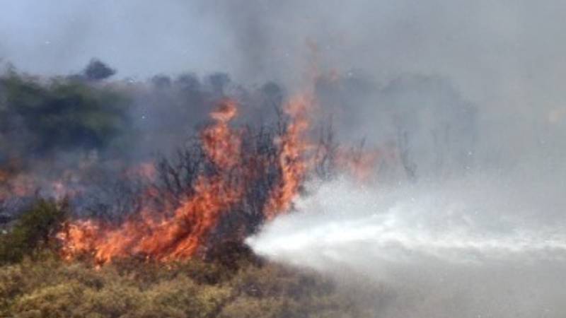 Υπό μερικό έλεγχο η πυρκαγιά στον Κάμπο Λακωνίας