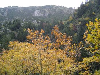 Παραδοσιακό πανηγύρι στο Πλατανάκι Ταϋγέτου