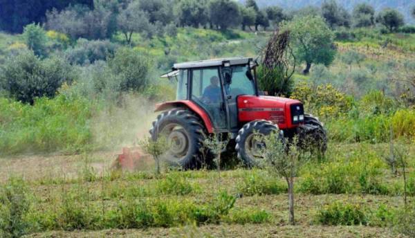Περιφέρεια Πελοποννήσου: 301 αιτήσεις εντάσσονται σε πρόγραμμα ενίσχυσης αγροτών