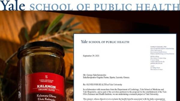 Ελληνικές βιολογικές ελιές στην έρευνα του Πανεπιστημίου Yale της Αμερικής για τα οφέλη τους στην υγεία