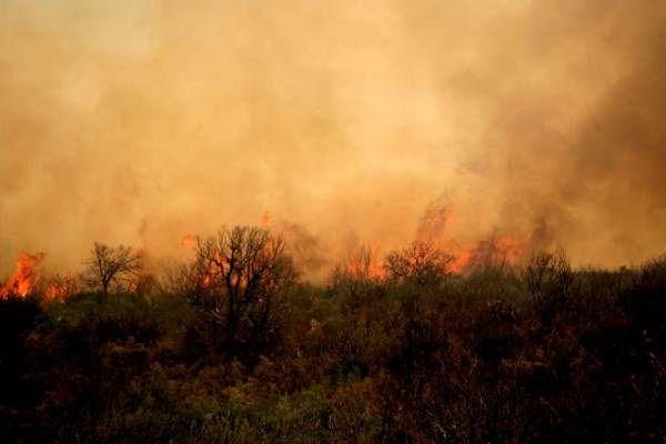 Υψηλός κίνδυνος πυρκαγιάς στη Μεγαλόπολη 