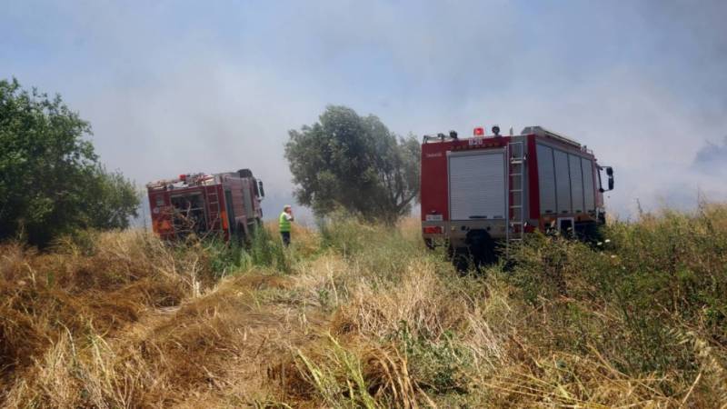 Φωτιά στο Μαυρομμάτι Μεσσήνης