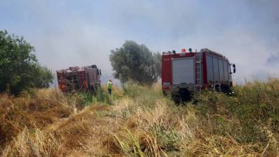 Φωτιά στο Μαυρομμάτι Μεσσήνης