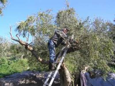 Χρήσιμη επιμόρφωση