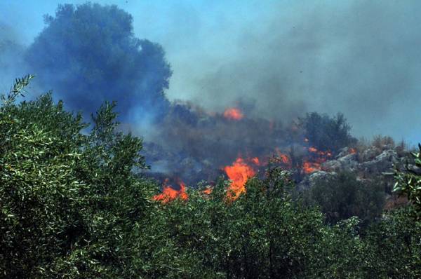Υπό έλεγχο η πυρκαγιά στην περιοχή του Ακόβου Μεγαλόπολης