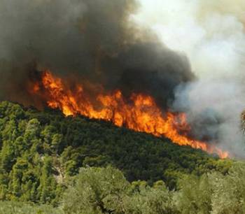 120 στρέμματα έκαψε η πυρκαγιά στην Υάμεια