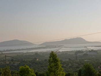 “Ξύπνησε” η Περιφέρεια για τα κουνούπια στη Γιάλοβα