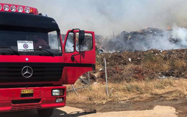 Φωτιά στην Ελαφόνησο: Είμαστε σε καλό δρόμο, λέει η δήμαρχος