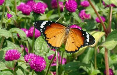 Αστρολογία – 11/04/2023