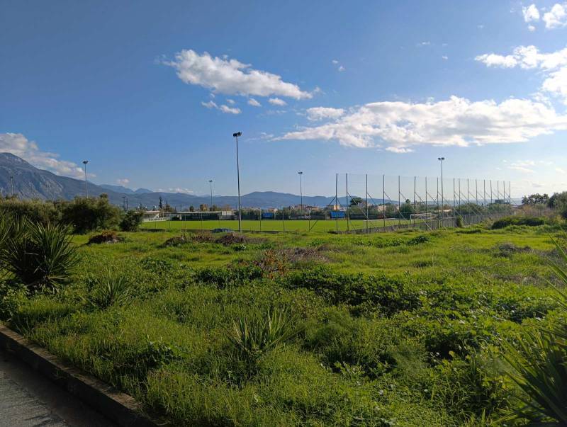 Δημοτική Επιτροπή Καλαμάτας: Εγκριση πρότασης για Παλιάμπελα και ΚΑΚ