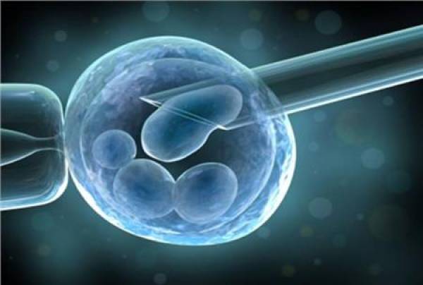 Προχωρά η πρώτη κλινική δοκιμή εισαγωγής βλαστοκυττάρων σε έμβρυα μέσα στη μήτρα