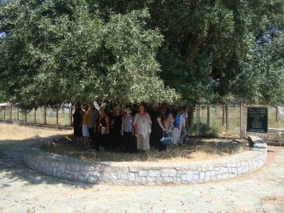 ΚΠΕ Καλαμάτας: Εκδήλωση με θέμα «Από τη μάνα ελιά…»