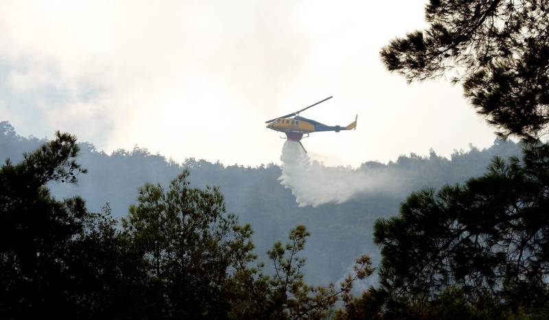Φωτιά σε δασική έκταση στα Καλάβρυτα