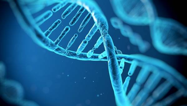Η αποκωδικοποίηση του ανθρώπινου DNA δείχνει την προδιάθεση για σοβαρές ασθένειες