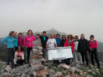 Δάσος Βασιλικής και ανάβαση στην κορυφή Αννίνα