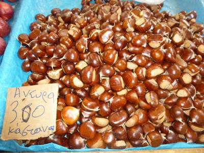 Ζητεί μέτρα για καστανοπαραγωγούς το Περιφερειακό Συμβούλιο Πελοποννήσου