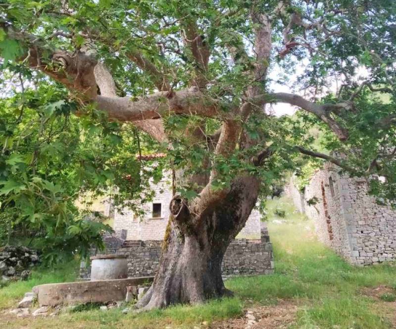 Μαθητές από τη Μεσσήνη προβάλλουν το χωριό Μάλη