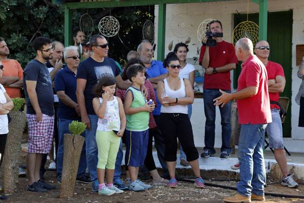 Πύργος Τριφυλίας: Απελευθερώθηκαν 7 άγρια πουλιά