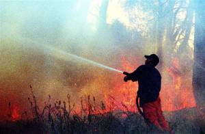 Σαράντα χρόνια σε τέσσερις για τις πυρκαγιές στην Ηλεία το 2007