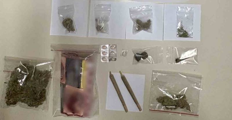 Μεσσηνία: Αστυνομική επιχείριση με 18 συλλήψεις στο δάσος της Ελαίας