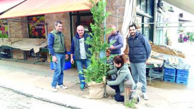 Δάσος χριστουγεννιάτικων δέντρων στην αγορά της Κυπαρισσίας