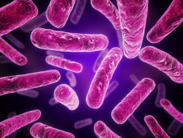 Ανακαλύφθηκαν βακτήρια ανθεκτικά και στα πιο ισχυρά αντιβιοτικά