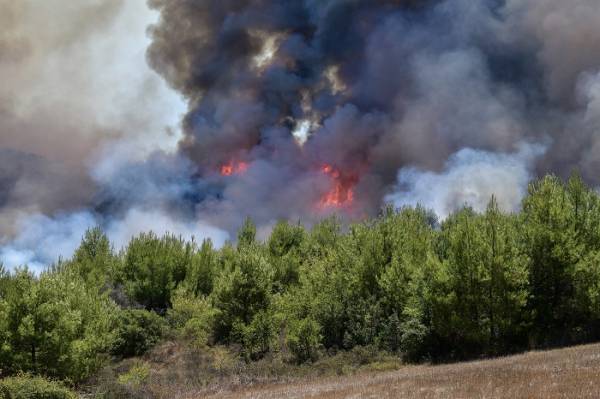 Πολύ υψηλός κίνδυνος πυρκαγιάς σε Πελοπόννησο και άλλες 4 περιφέρειες της χώρας