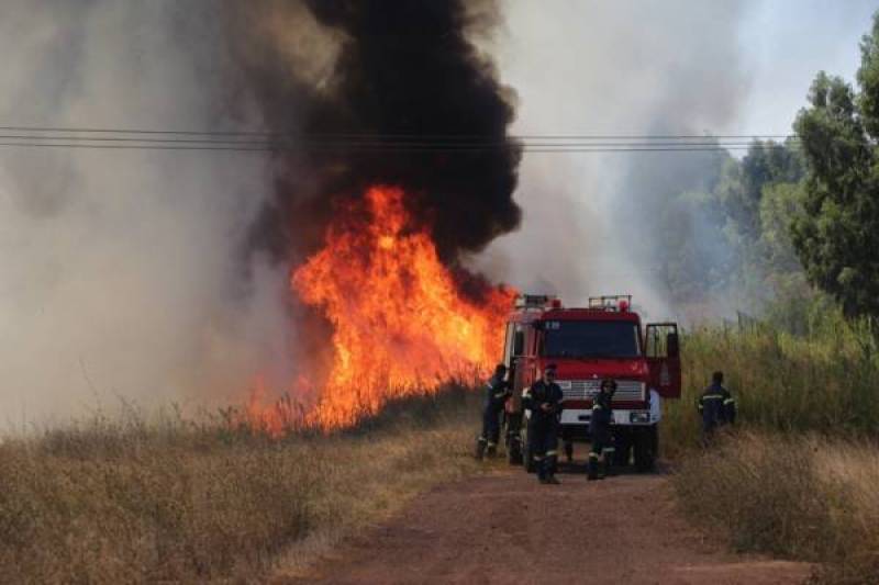 Μεσσηνία: Πυρκαγιά σε χαμηλή βλάστηση στο Αριοχώρι