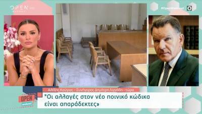 Κούγιας: Η Δικαιοσύνη έχει βιαστεί στην υπόθεση Λιγνάδη (Βίντεο)