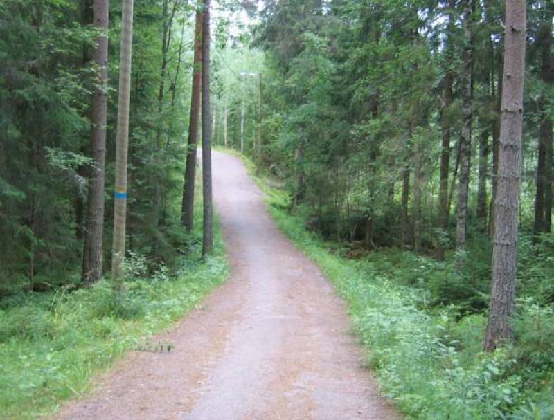 Ενίσχυση για καθαρισμό δασικών δρόμων ζητεί το Δασαρχείο