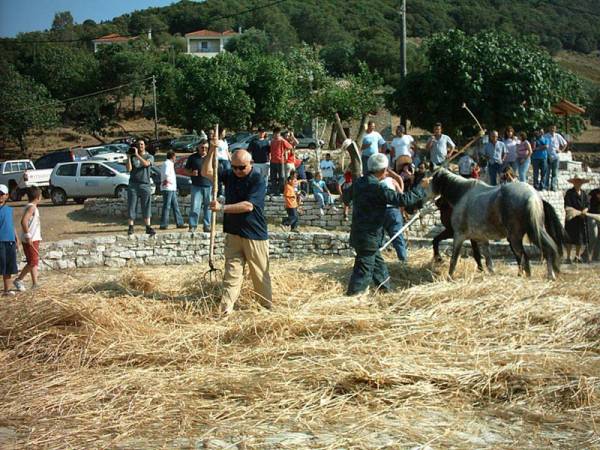 Αλώνισμα στα Σκλαβέικα