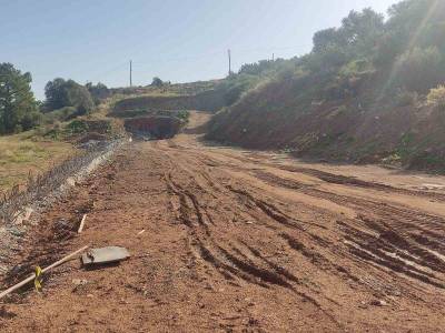 Ερωτήματα Μάκαρη για το Τζάννε - Καλαμάκι