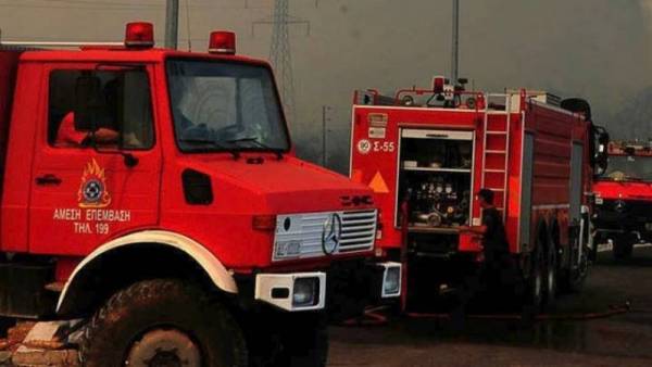 Μεσσηνία: Πυρκαγιά στο Πεταλίδι