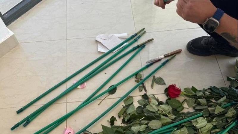 Επιχείρηση «Τα άνθη του κακού»: Κύκλωμα έκρυβε 84 κιλά κοκαΐνης μέσα σε τριαντάφυλλα