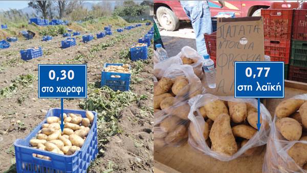 Λαμπρόπουλος: "Η κυβέρνηση δεν εμπόδισε τις εισαγωγές πατάτας" 