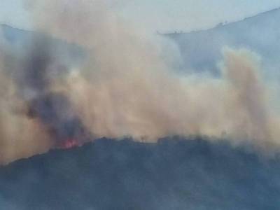 Λευκάδα: Σε εξέλιξη βρίσκεται η φωτιά που ξέσπασε σε δασική έκταση βορειοδυτικά του νησιού (βίντεο)
