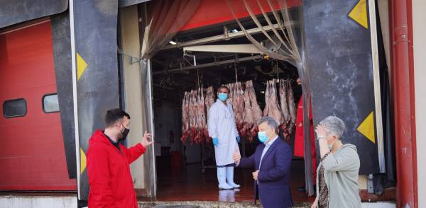 Άριστης ποιότητας τα κρέατα στη Μεσσηνία: Σφάχτηκαν 6.000 αρνιά και κατσίκια (βίντεο)