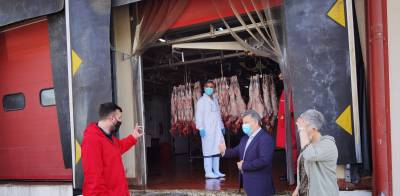 Άριστης ποιότητας τα κρέατα στη Μεσσηνία: Σφάχτηκαν 6.000 αρνιά και κατσίκια (βίντεο)