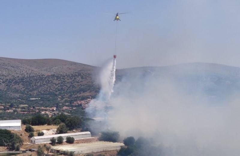 Μεγάλη πυρκαγιά στη Χίο: Προς εκκένωση 2 χωριά - Καίει έκταση με ελιές κοντά στη ΒΙΑΛ (Βίντεο)