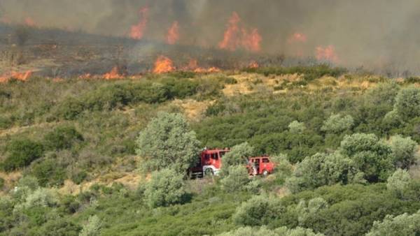 Πυρκαγιές: Κάηκαν 470.000 στρέμματα σε 15 ημέρες - 550.000 από την αρχή του έτους