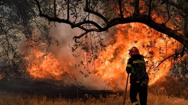 Συνεχίζεται η μάχη με τις φλόγες στη Θάσο - Μήνυμα από το 112 για εκκένωση οικισμού